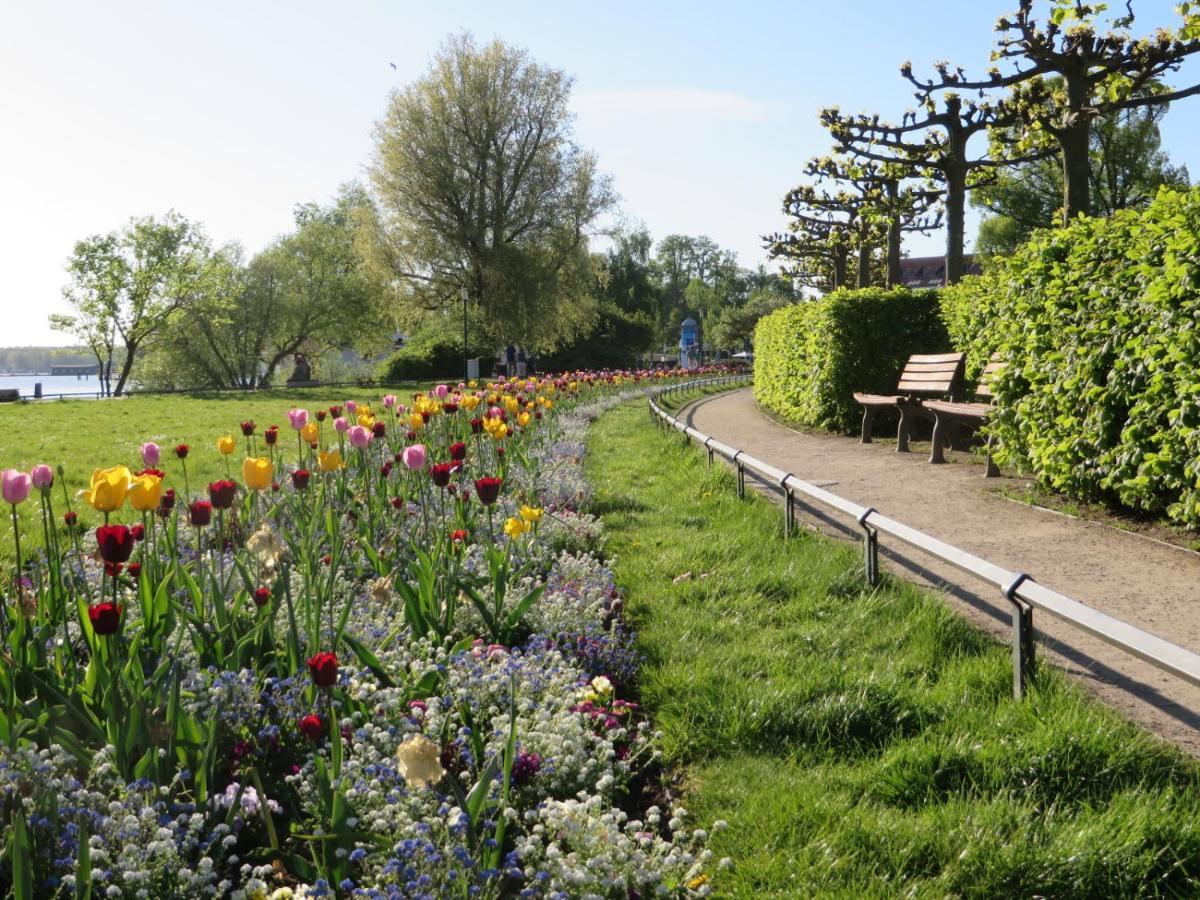 Ferienwohnungen "Marie" Mit Terrassen, Inclusive Park- Und Stellplaetze Am Haus, Mueritz-Strand Nur 700M, Altstadt 10Min, Ruhige Lage, Waren  Eksteriør bilde
