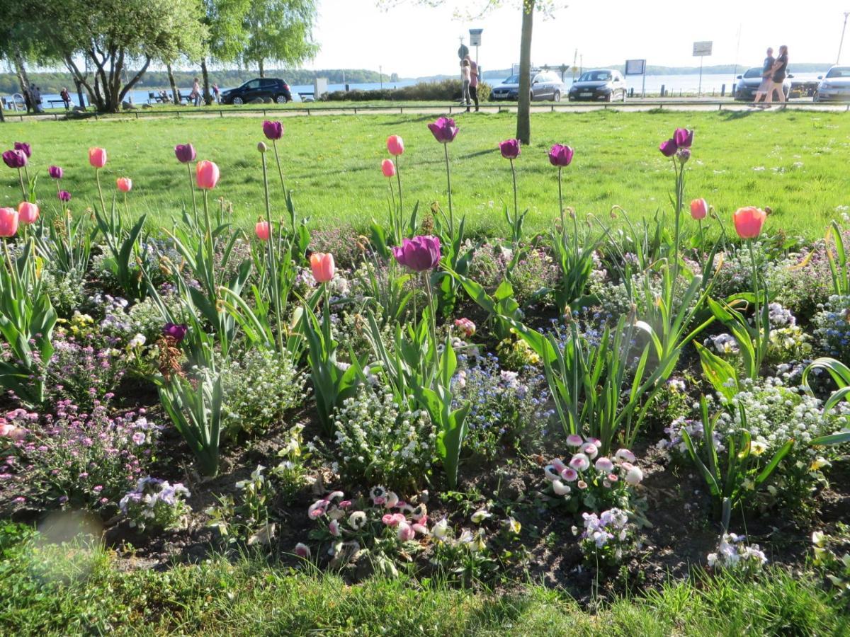 Ferienwohnungen "Marie" Mit Terrassen, Inclusive Park- Und Stellplaetze Am Haus, Mueritz-Strand Nur 700M, Altstadt 10Min, Ruhige Lage, Waren  Eksteriør bilde