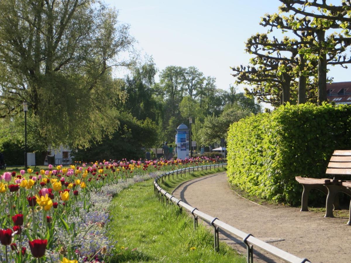 Ferienwohnungen "Marie" Mit Terrassen, Inclusive Park- Und Stellplaetze Am Haus, Mueritz-Strand Nur 700M, Altstadt 10Min, Ruhige Lage, Waren  Eksteriør bilde